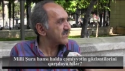 Milli Şura hansı halda cəmiyyətin gözləntilərini qarşılaya bilər?