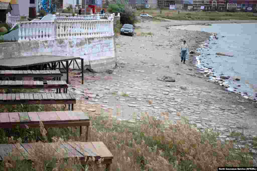 Однако за последние годы рыбы стало меньше. Да и в пищу уже мало что годится из-за низкого качества воды