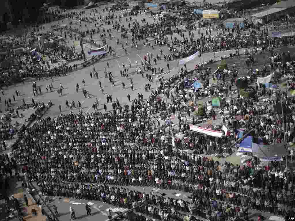 Tahirir meydanında müxalifət fəalları namzada, 3 fevral 2011 - AFP PHOT0/MARCO LONGARI 